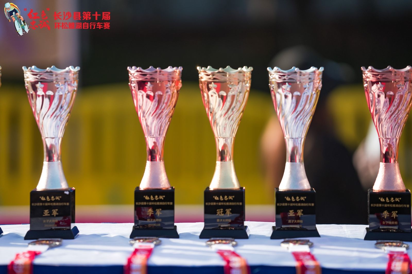 湖南熊猫体育管理有限公司